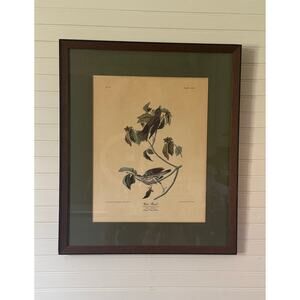Framed Audubon Wood Thrush Reproduction Print 1980s Wall Art